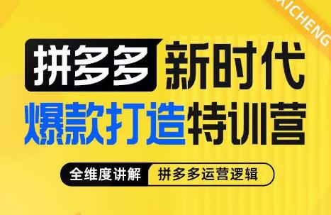 玺承·拼多多新时代爆款打造特训营，全维度讲解拼多多运营逻辑-问小徐资源库