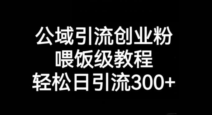 公域引流创业粉，喂饭级教程，轻松日引流300+【揭秘】-问小徐资源库