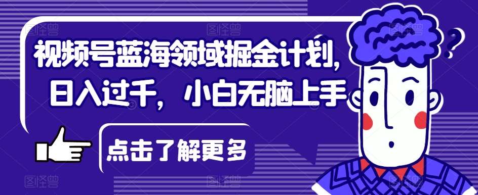 视频号蓝海领域掘金计划，日入过千，小白无脑上手【揭秘】-问小徐资源库