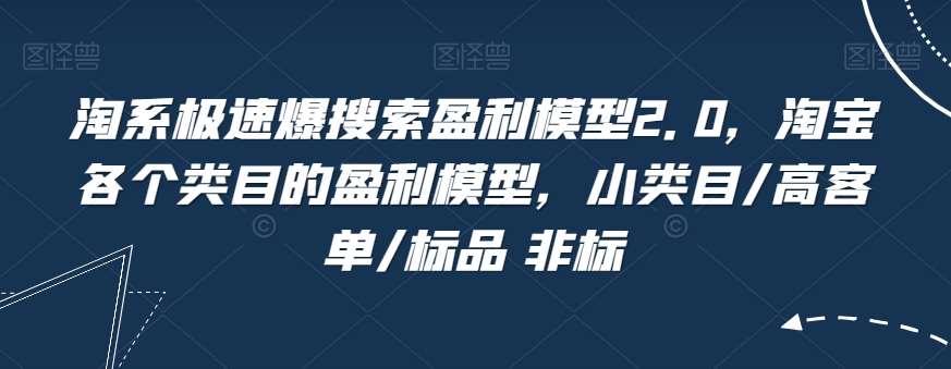 淘系极速爆搜索盈利模型2.0，淘宝各个类目的盈利模型，小类目/高客单/标品 非标-问小徐资源库