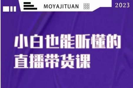 大威本威·能听懂的直播带货课，小白也能听懂，20节完整-问小徐资源库