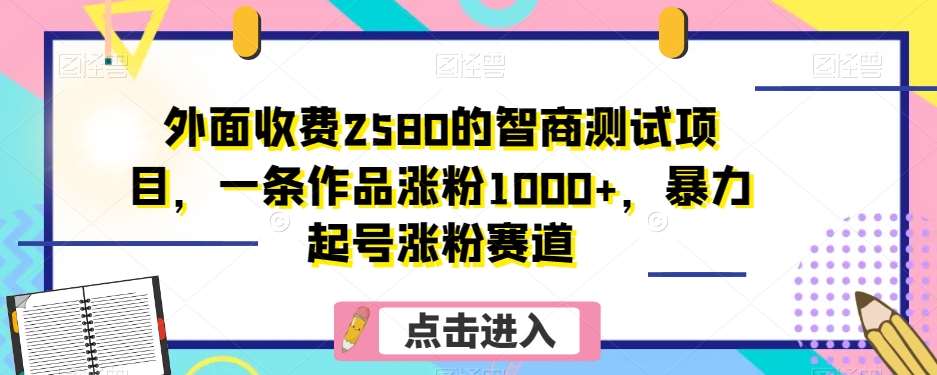 外面收费2580的智商测试项目，一条作品涨粉1000+，暴力起号涨粉赛道【揭秘】-问小徐资源库