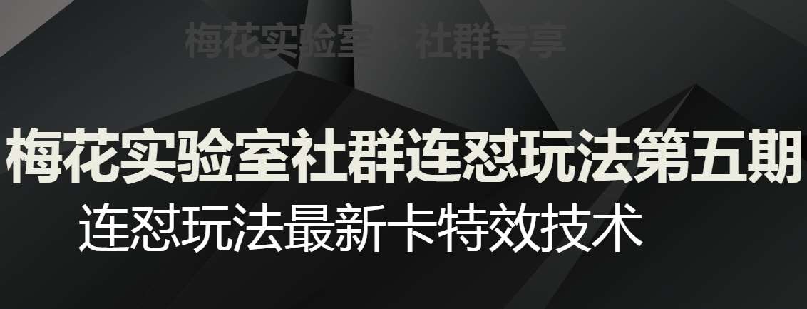 梅花实验室社群连怼玩法第五期，视频号连怼玩法最新卡特效技术-问小徐资源库