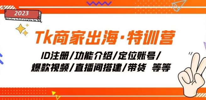 Tk商家出海·特训营：ID注册/功能介绍/定位账号/爆款视频/直播间搭建/带货-问小徐资源库