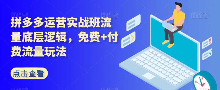 拼多多运营实战班流量底层逻辑，免费+付费流量玩法-问小徐资源库