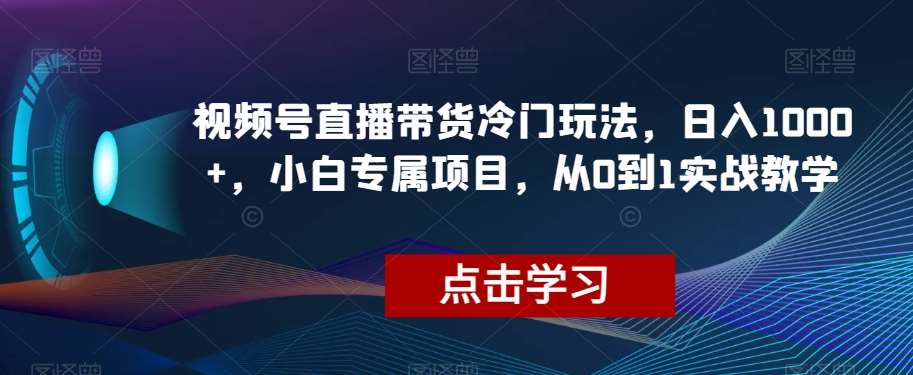 视频号直播带货冷门玩法，日入1000+，小白专属项目，从0到1实战教学【揭秘】-问小徐资源库