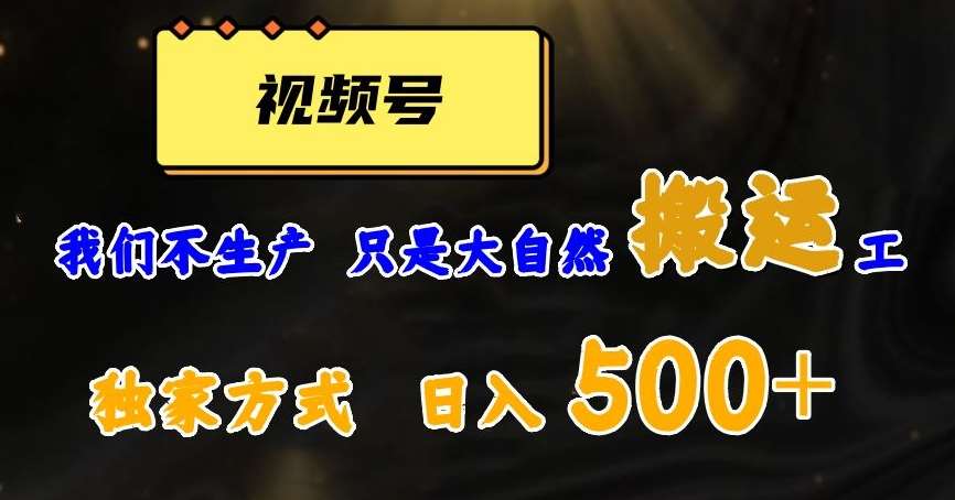 视频号轻松搬运日赚500+，一个1分钟1条原创视频【揭秘】-问小徐资源库