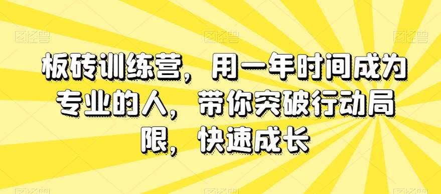 板砖训练营，用一年时间成为专业的人，带你突破行动局限，快速成长-问小徐资源库