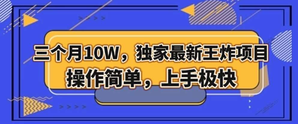三个月10W，独家最新王炸项目！操作简单，上手极快【揭秘】-问小徐资源库