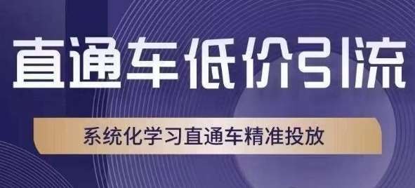 直通车低价引流课，系统化学习直通车精准投放-问小徐资源库