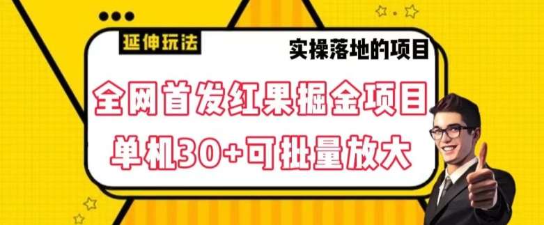 全网首发红果免费短剧掘金项目，单机30+可批量放大【揭秘】-问小徐资源库