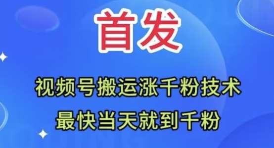 全网首发：视频号无脑搬运涨千粉技术，最快当天到千粉【揭秘】-问小徐资源库