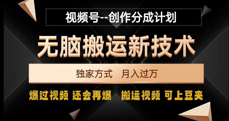 视频号无脑搬运新技术，破原创壕流量，独家方式，爆过视频，还会再爆【揭秘】-问小徐资源库