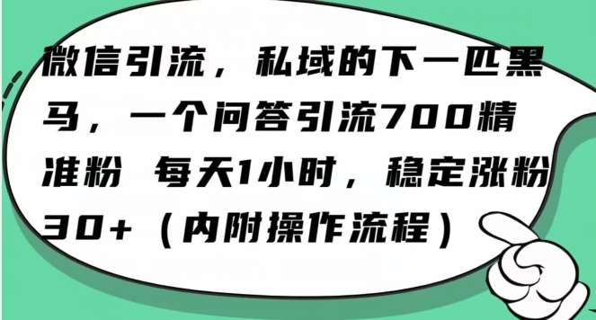 怎么搞精准创业粉？微信新赛道，每天一小时，利用Ai一个问答日引100精准粉-问小徐资源库