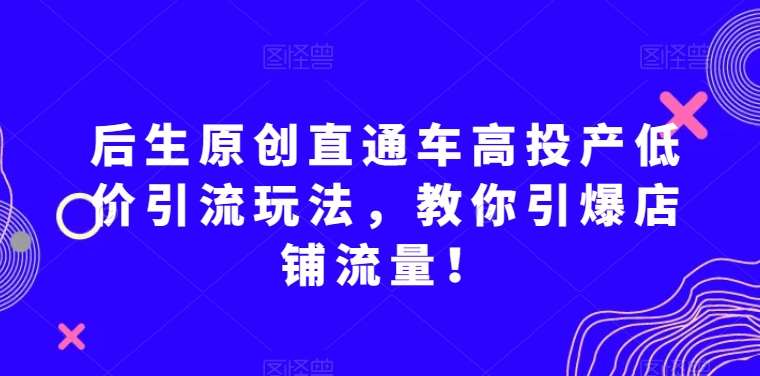 后生原创直通车高投产低价引流玩法，教你引爆店铺流量！-问小徐资源库