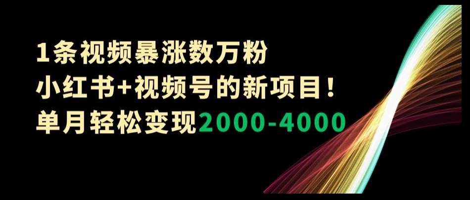 1条视频暴涨数万粉–小红书+视频号的新项目！单月轻松变现2000-4000【揭秘】-问小徐资源库