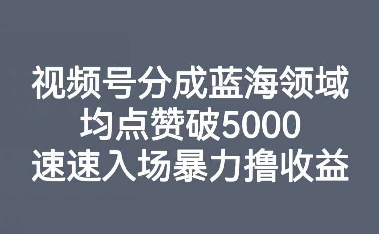 视频号分成蓝海领域，均点赞破5000，速速入场暴力撸收益-问小徐资源库