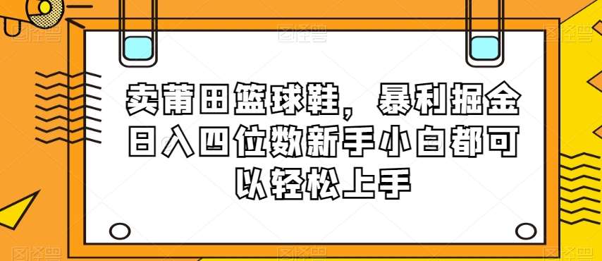 卖莆田篮球鞋，暴利掘金日入四位数新手小白都可以轻松上手【揭秘】-问小徐资源库