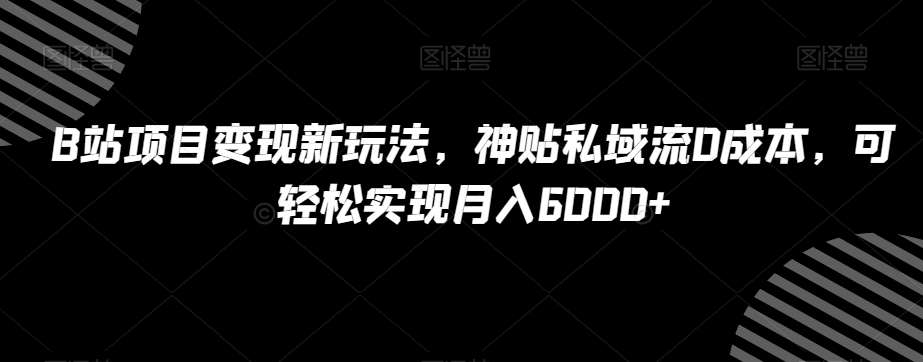 B站项目变现新玩法，神贴私域流0成本，可轻松实现月入6000+【揭秘】-问小徐资源库