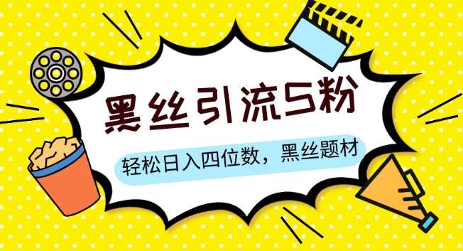 S粉变现，轻松日入四位数，黑丝题材+情感话术【揭秘】-问小徐资源库