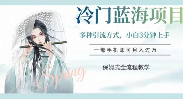冷门蓝海项目，操作简单，小白3分钟上手，多种引流方式，保姆式全流程教学【揭秘】-问小徐资源库