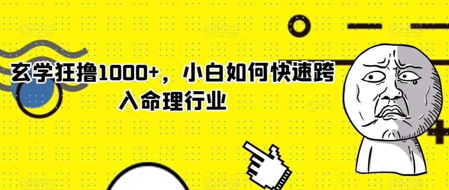 玄学狂撸1000+，小白如何快速跨入命理行业【揭秘】-问小徐资源库