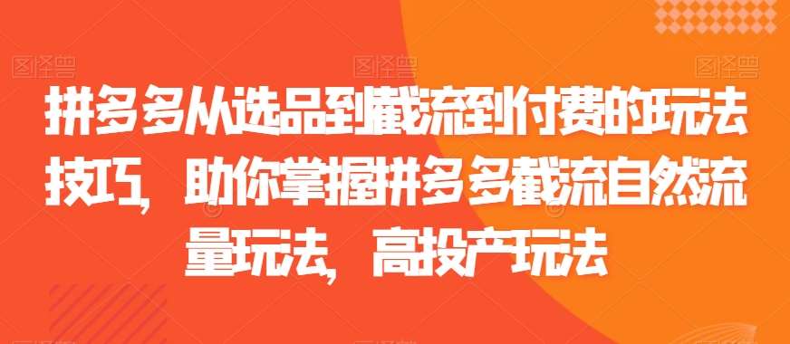 拼多多从选品到截流到付费的玩法技巧，助你掌握拼多多截流自然流量玩法，高投产玩法-问小徐资源库