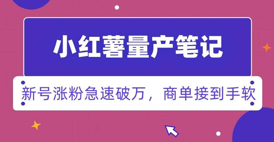 小红书量产笔记，一分种一条笔记，新号涨粉急速破万，新黑马赛道，商单接到手软【揭秘】-问小徐资源库