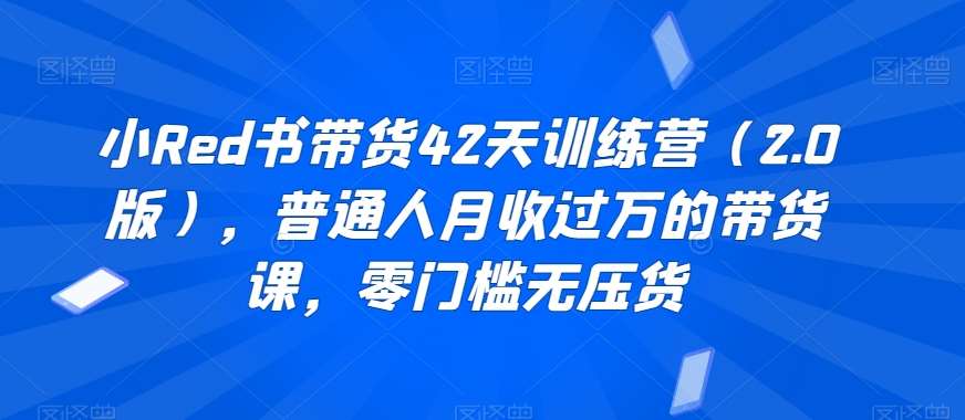 小Red书带货42天训练营（2.0版），普通人月收过万的带货课，零门槛无压货-问小徐资源库