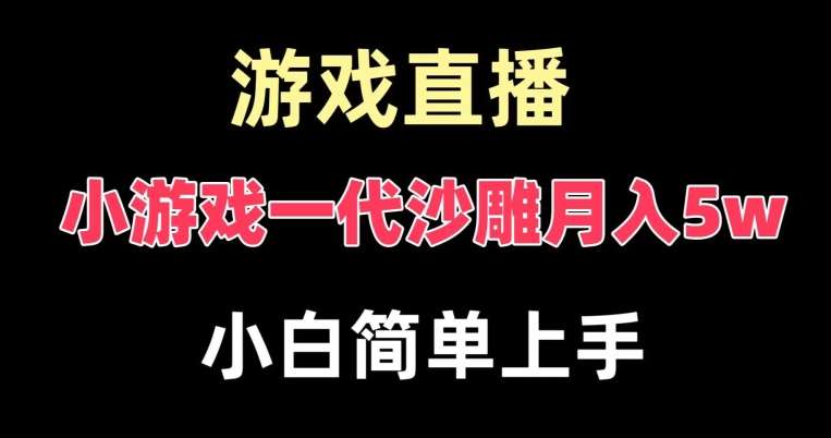 玩小游戏一代沙雕月入5w，爆裂变现，快速拿结果，高级保姆式教学【揭秘】-问小徐资源库