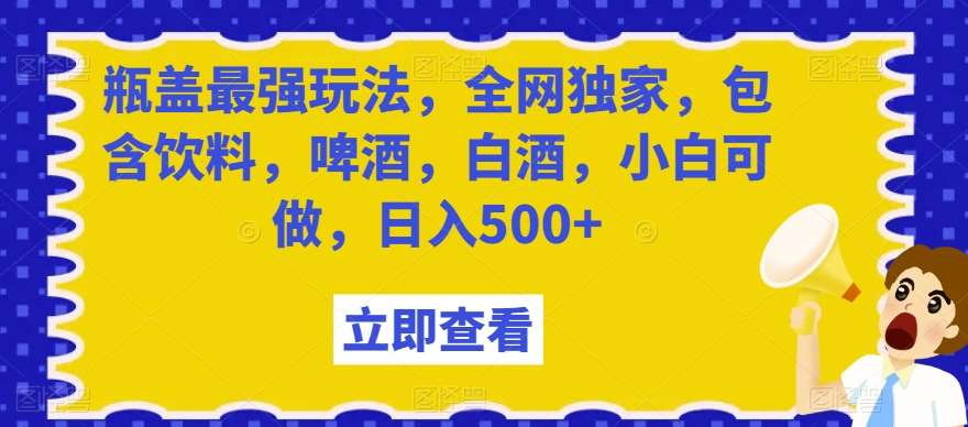 瓶盖最强玩法，全网独家，包含饮料，啤酒，白酒，小白可做，日入500+【揭秘】-问小徐资源库