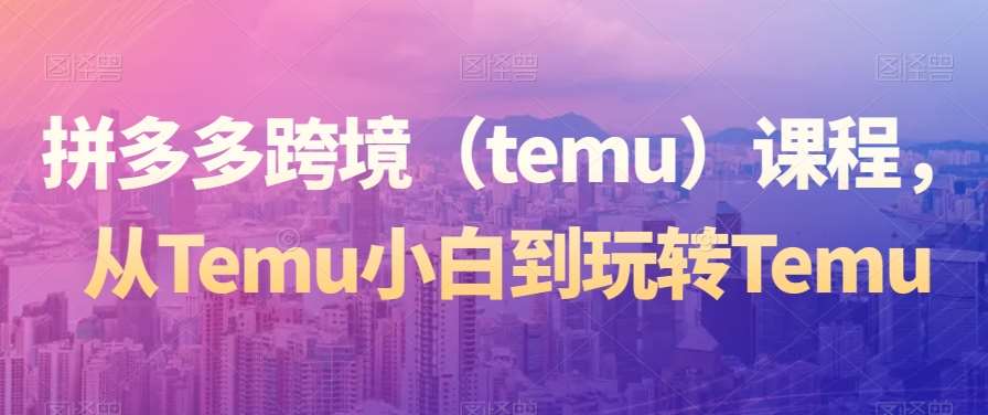 拼多多跨境（temu）课程，从Temu小白到玩转Temu-问小徐资源库