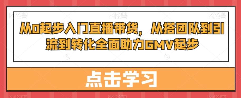 从0起步入门直播带货，​从搭团队到引流到转化全面助力GMV起步-问小徐资源库