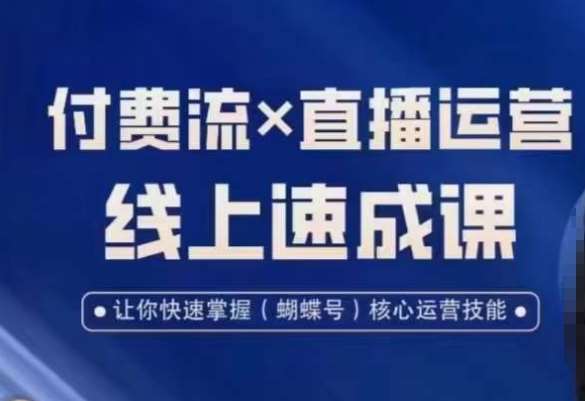 视频号付费流实操课程，付费流✖️直播运营速成课，让你快速掌握视频号核心运营技能-问小徐资源库