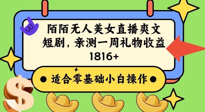 陌陌美女无人直播爽文短剧项目，亲测一个星期1800+【揭秘】-问小徐资源库