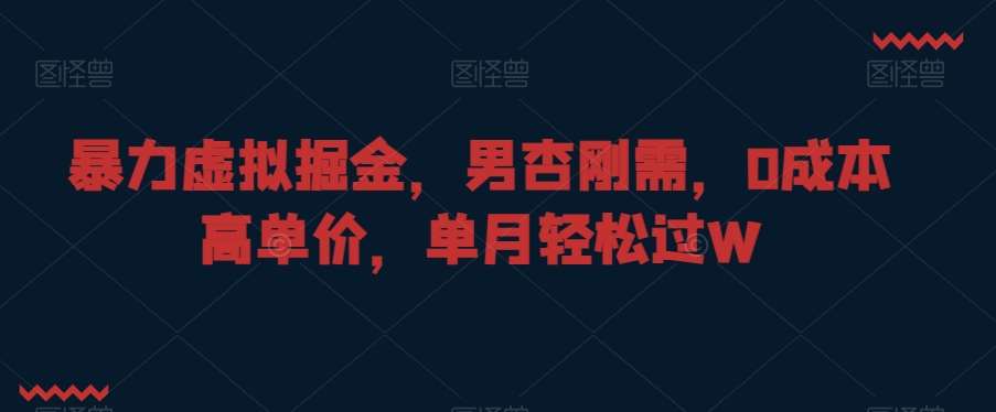 暴力虚拟掘金，男杏刚需，0成本高单价，单月轻松过W【揭秘】-问小徐资源库