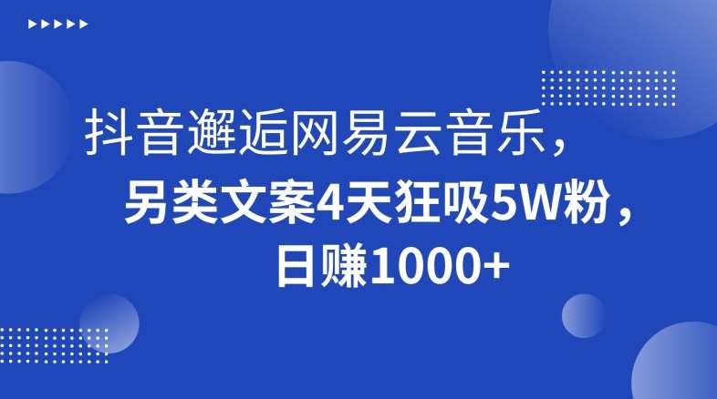 抖音邂逅网易云音乐，另类文案4天狂吸5W粉，日赚1000+【揭秘】-问小徐资源库