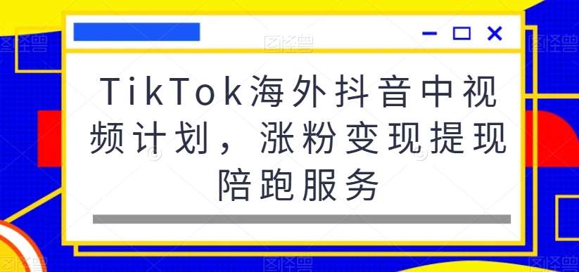 TikTok海外抖音中视频计划，涨粉变现提现陪跑服务-问小徐资源库