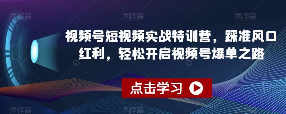 视频号短视频实战特训营，踩准风口红利，轻松开启视频号爆单之路-问小徐资源库