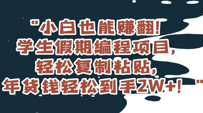 小白也能赚翻！学生假期编程项目，轻松复制粘贴，年货钱轻松到手2W+【揭秘】-问小徐资源库