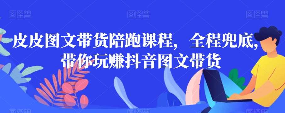 皮皮图文带货陪跑课程，全程兜底，带你玩赚抖音图文带货-问小徐资源库