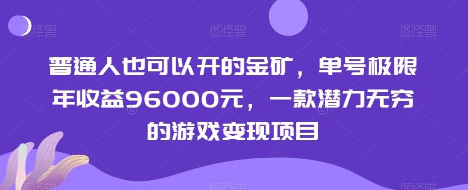 普通人也可以开的金矿，单号极限年收益96000元，一款潜力无穷的游戏变现项目【揭秘】-问小徐资源库