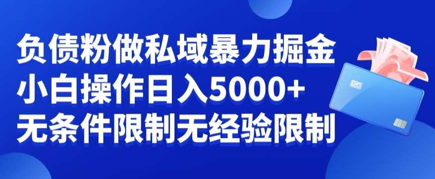 负债粉私域暴力掘金，小白操作入5000，无经验限制，无条件限制【揭秘】-问小徐资源库