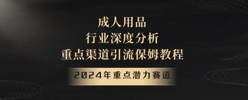 2024年重点潜力赛道，成人用品行业深度分析，重点渠道引流保姆教程【揭秘】-问小徐资源库
