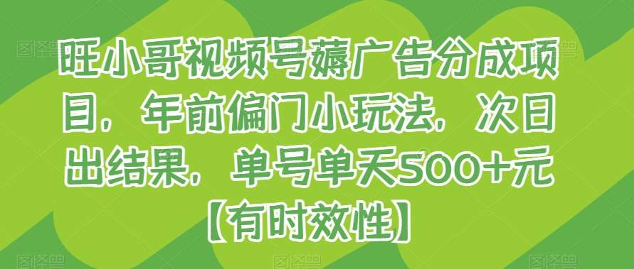 旺小哥视频号薅广告分成项目，年前偏门小玩法，次日出结果，单号单天500+元【有时效性】-问小徐资源库