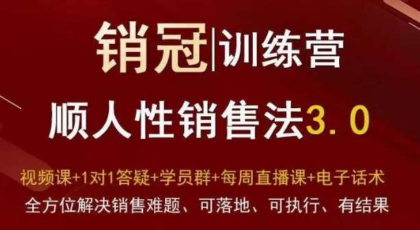 爆款！销冠训练营3.0之顺人性销售法，全方位解决销售难题、可落地、可执行、有结果-问小徐资源库