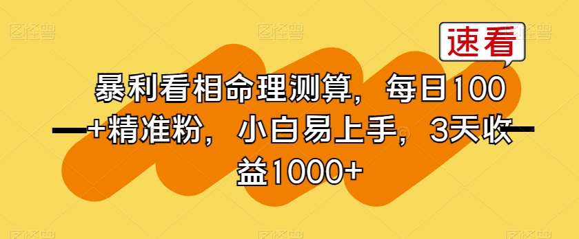 暴利看相命理测算，每日100+精准粉，小白易上手，3天收益1000+【揭秘】-问小徐资源库