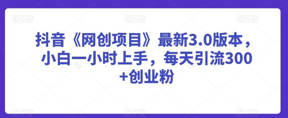 抖音《网创项目》最新3.0版本，小白一小时上手，每天引流300+创业粉【揭秘】-问小徐资源库