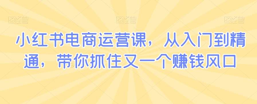 小红书电商运营课，从入门到精通，带你抓住又一个赚钱风口-问小徐资源库