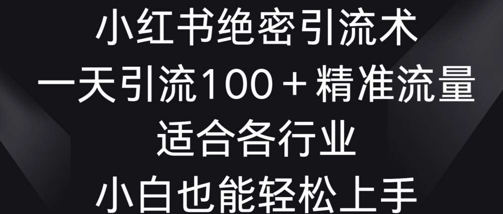 小红书绝密引流术，一天引流100+精准流量，适合各个行业，小白也能轻松上手【揭秘】-问小徐资源库